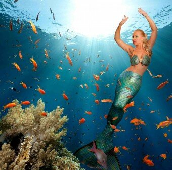 Meet Melissa – The world’s most ‘real-life’ Mermaid in Florida, USA Meet Melissa – The world’s most ‘real-life’ Mermaid in Florida, USA